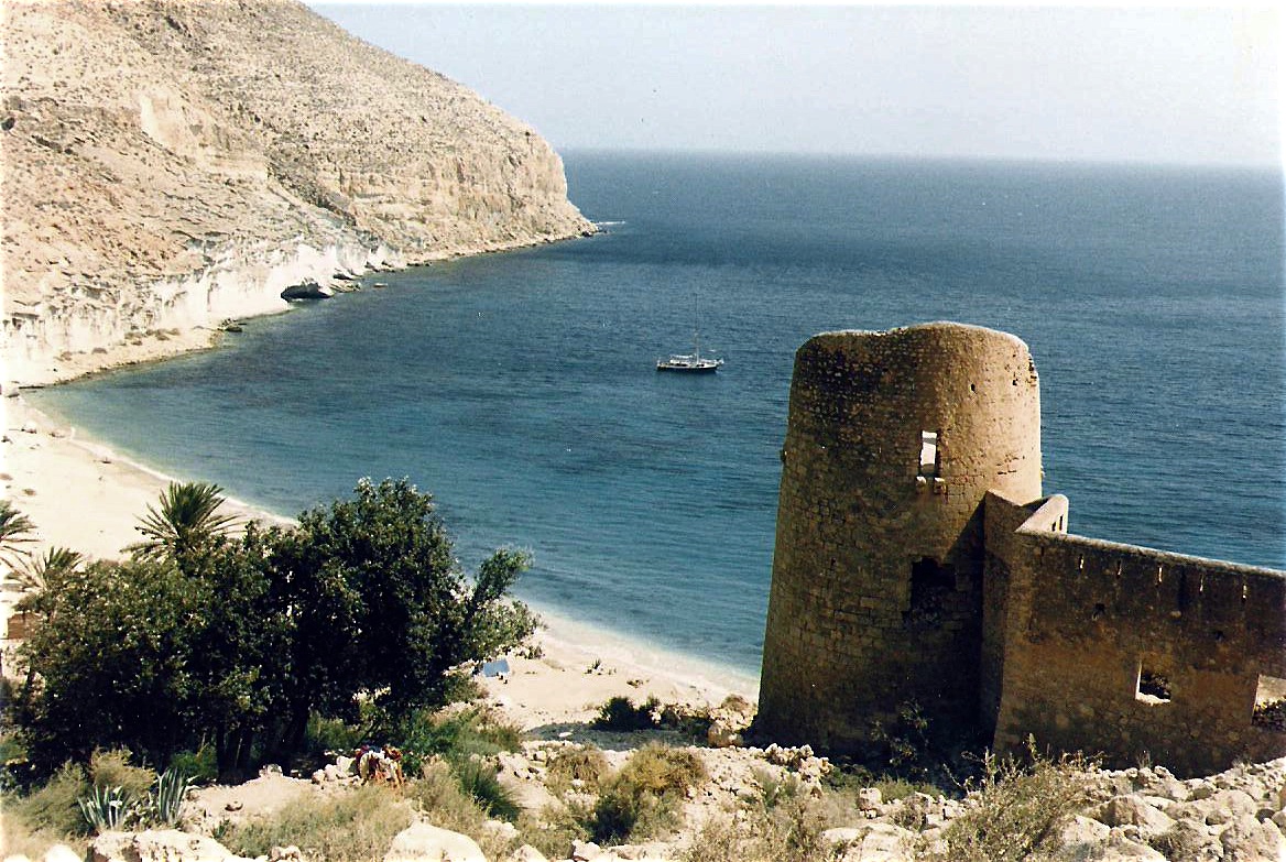 A small bay on the southern Spanish coast with an old fortified tower.